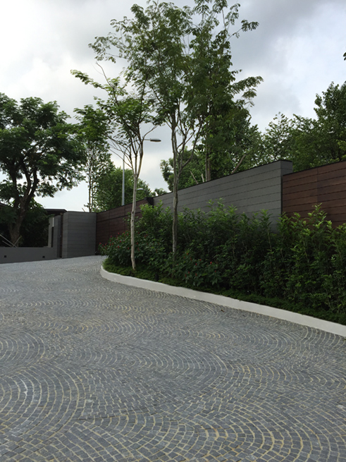 Olive Road Residence III Image 3