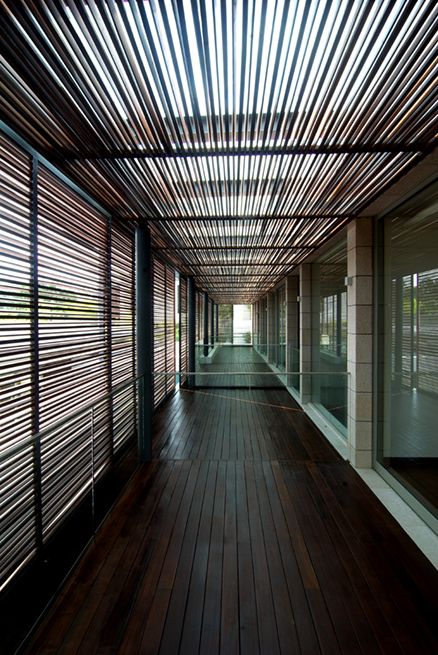 Olive Road Houses I Image 3